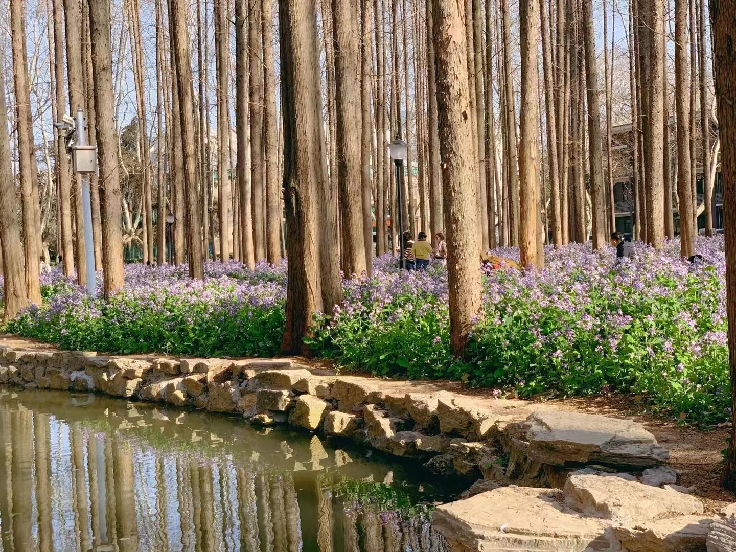 图源:南京理工大学公共事务学院副教授沈捷 图源:南京理工大学公共事务学院副教授沈捷